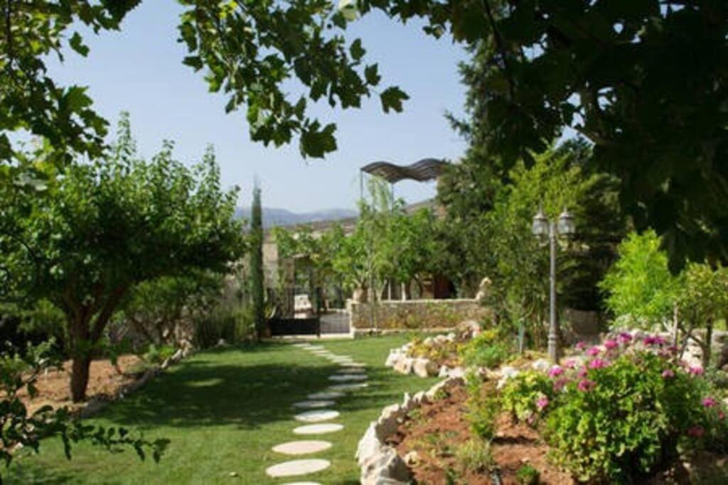 Olive House Traditional Villa With Pool Sitia  Dış mekan fotoğraf